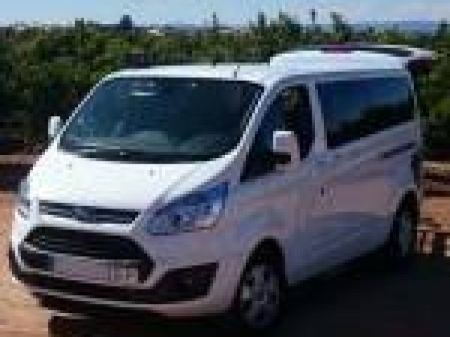 TAXI VALENCIA 8 PLAZAS